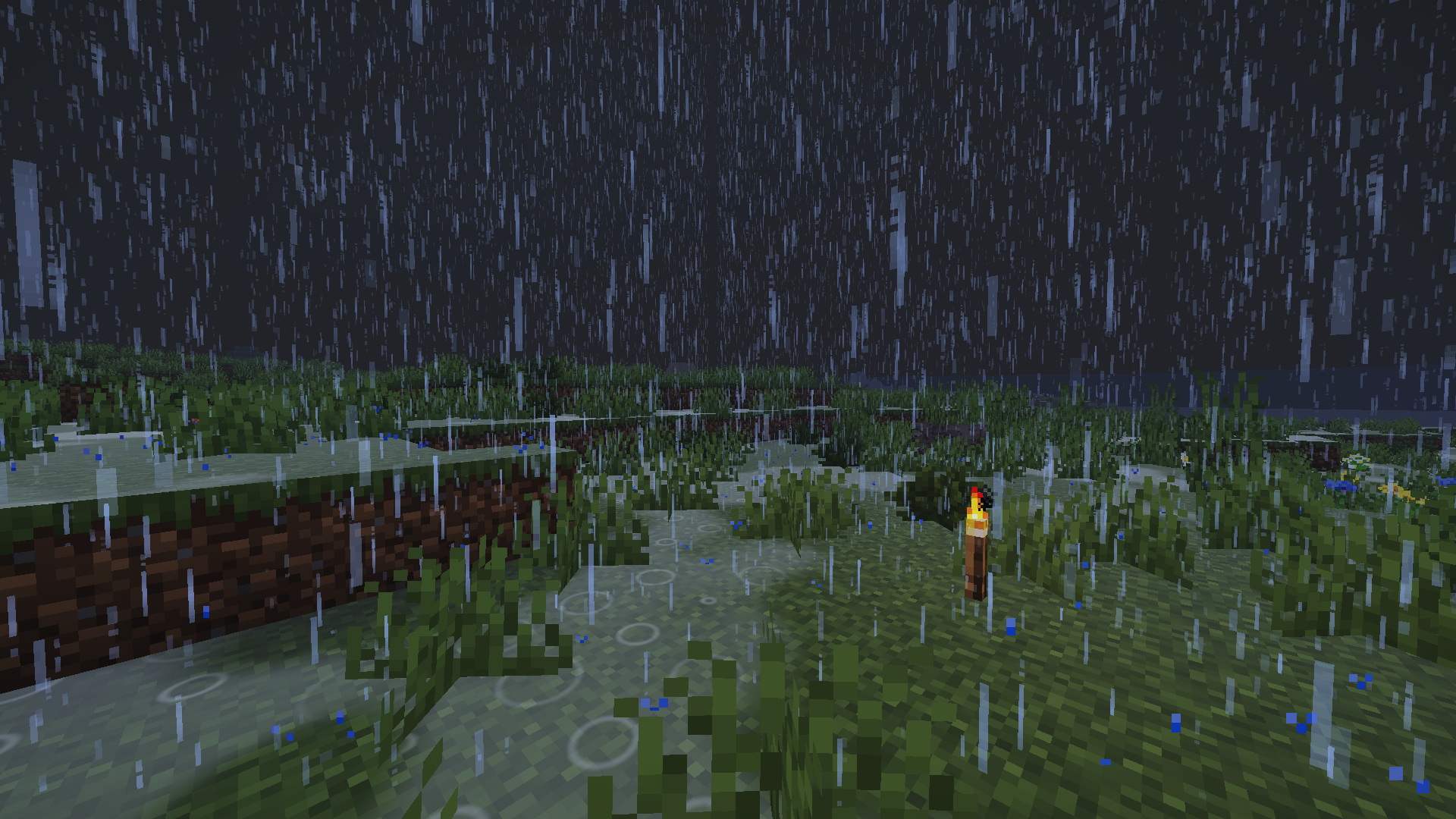 Pluie et flaques